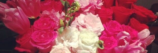 nancygarzag's profile banner image