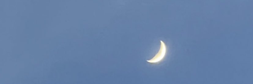 fleurnette's profile banner image
