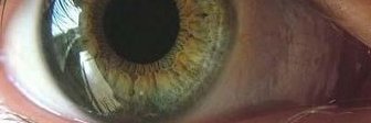 Militante participe banner