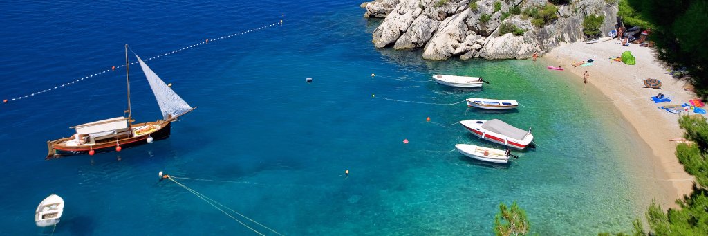 DreamInDalmatia's profile banner image