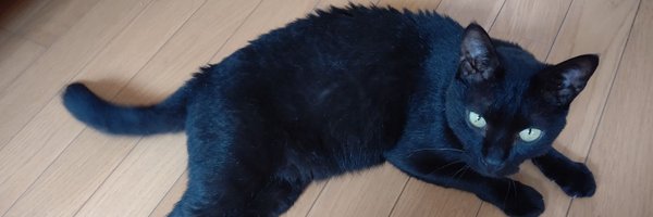 clu11765359 Profile Banner