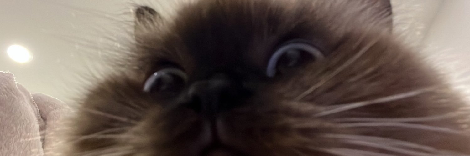 __saarai's profile banner image