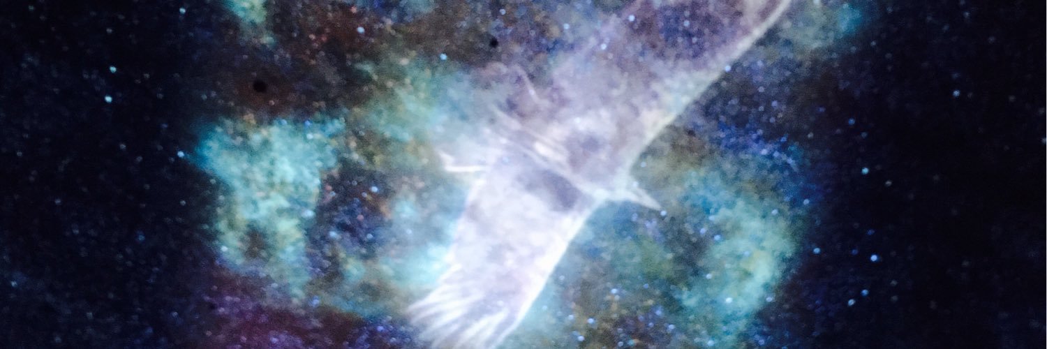 trhk606's profile banner image