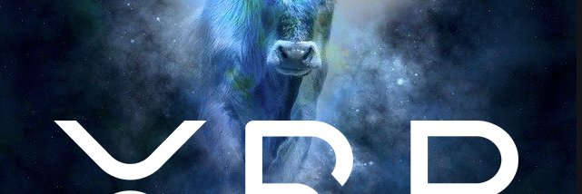 CryptoJaz13's profile banner image