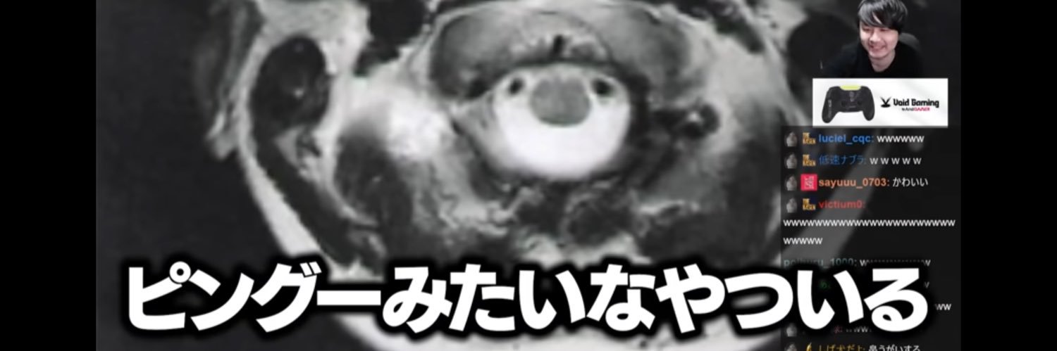 にょにょーーーにょ☆ banner