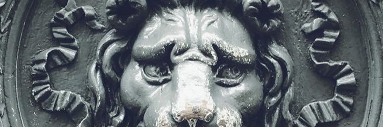 MemoaLvaRez's profile banner image