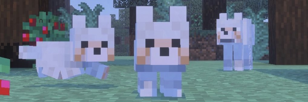 Luke | Jamook banner