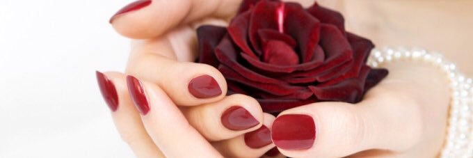 lepetitsalonn's profile banner image