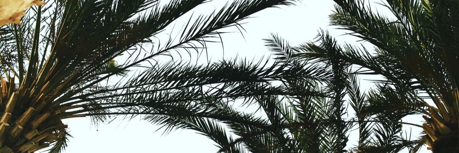 katya_nadez's profile banner image