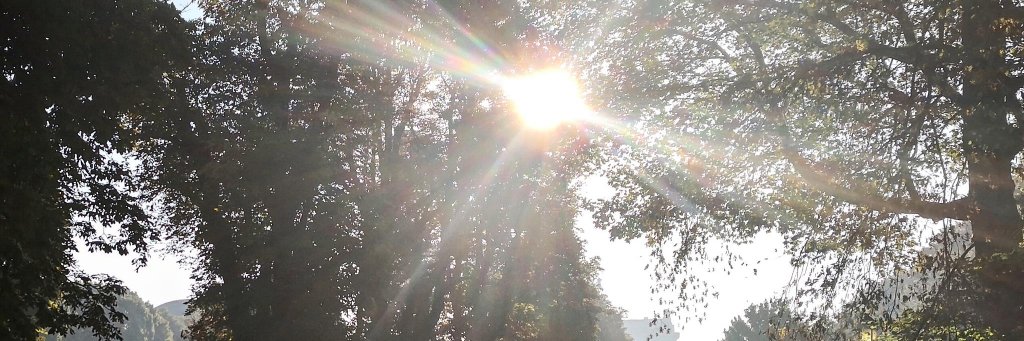 Michal Czerniawski banner