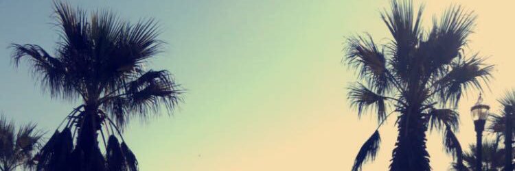 the_apter_party's profile banner image