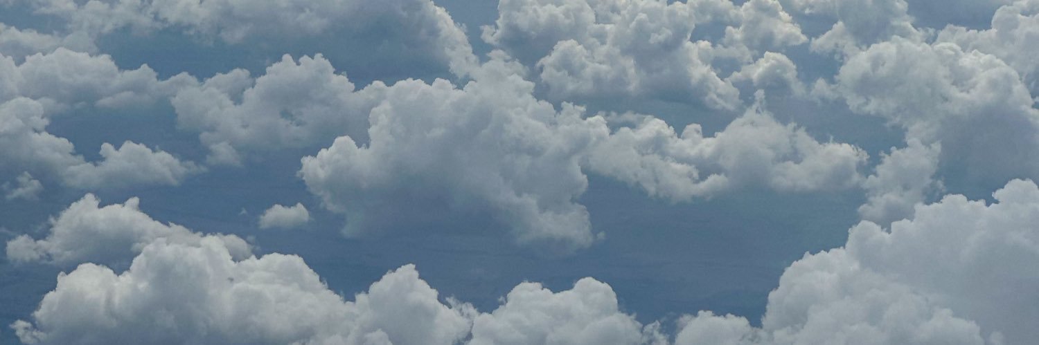 sofia banner
