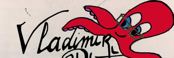 Vladimir Pouteam banner