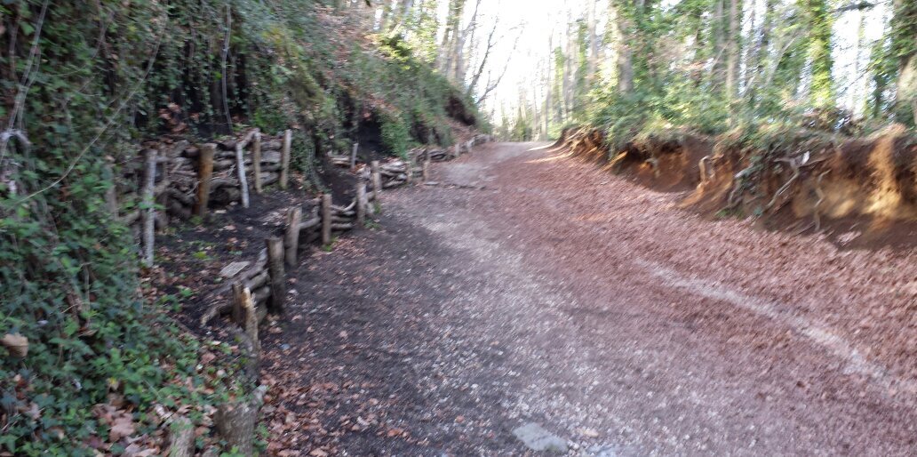 Edgar Vinyals banner