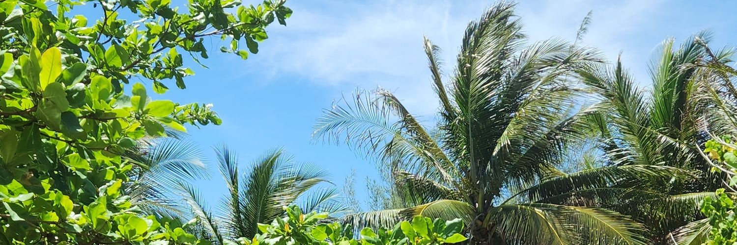 sigridalex's profile banner image