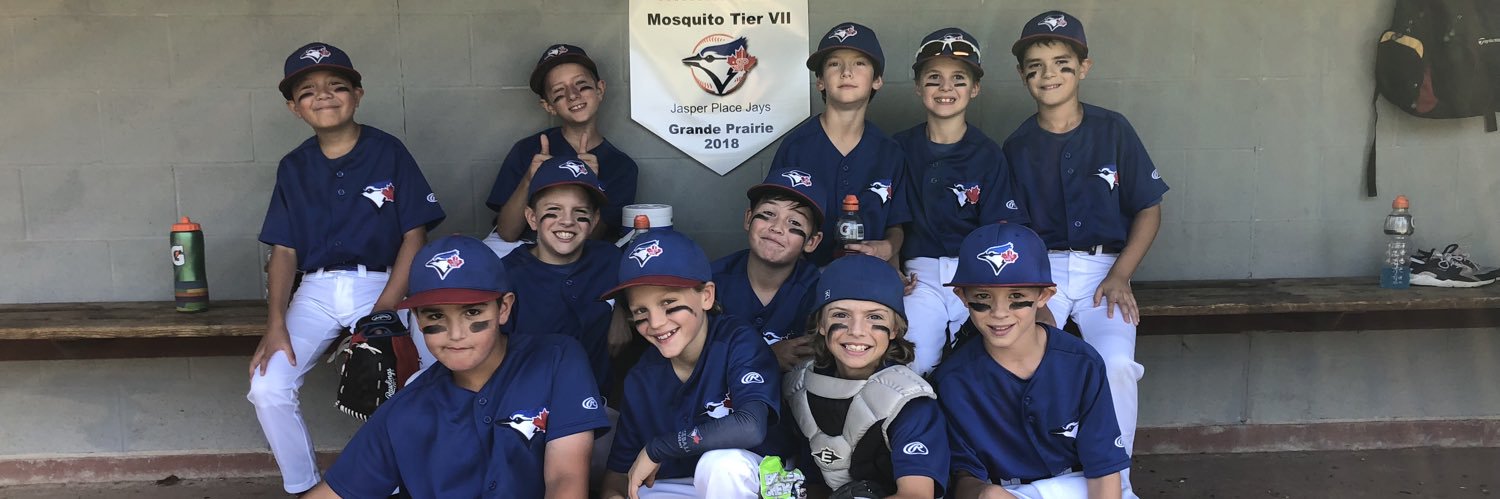 South Jasper Place Minor Baseball Assocation banner