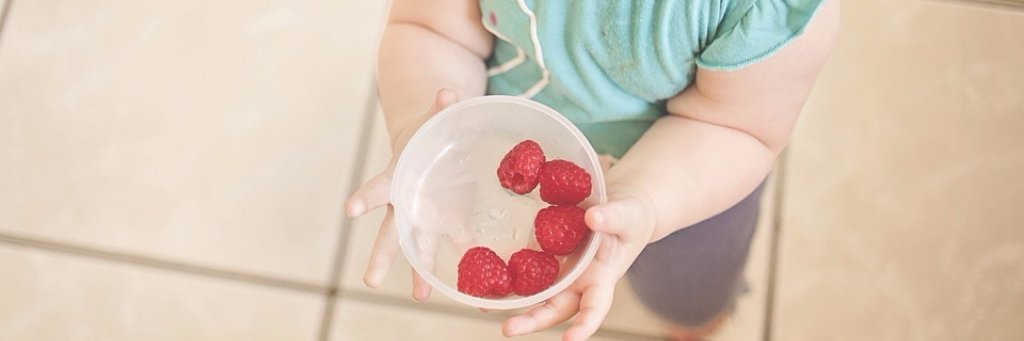 Little Foodies SE9 banner