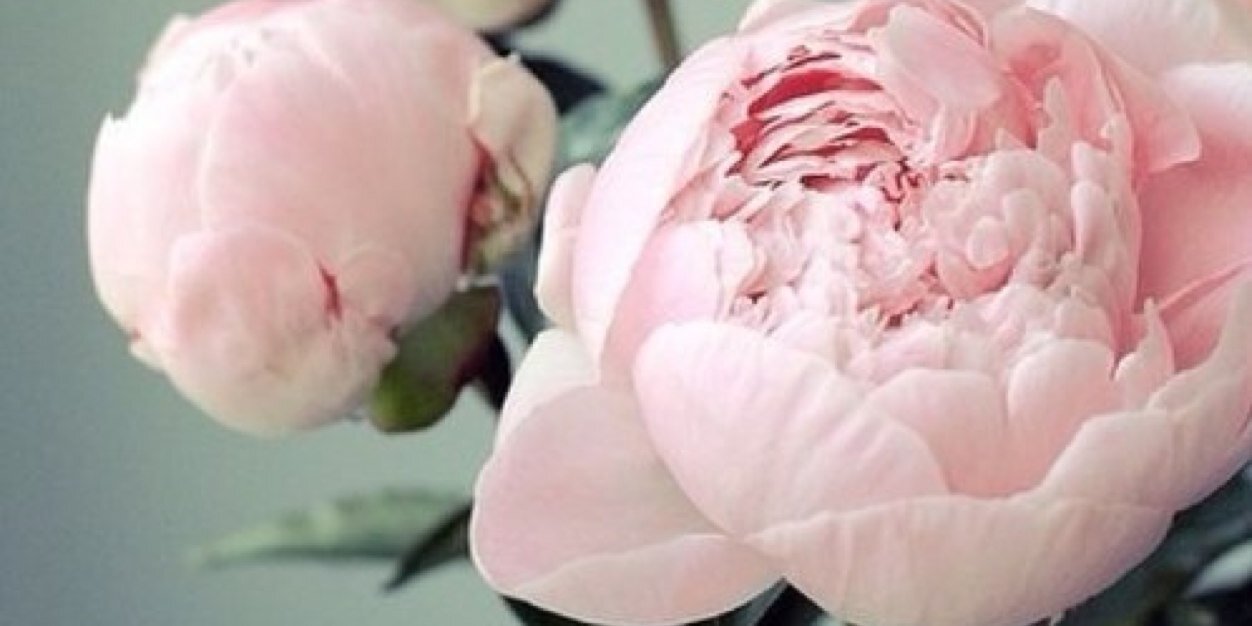 To_Najd's profile banner image
