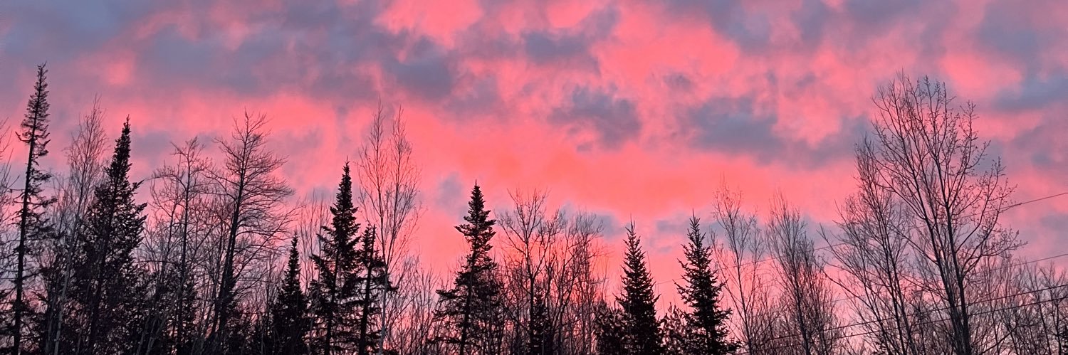 morganeileenn's profile banner image