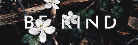 Little_Fanpire's profile banner image