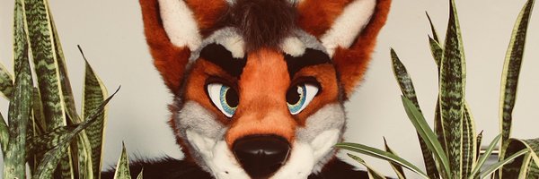 bluecoyote Profile Banner