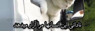 Porpakani1400's profile banner image