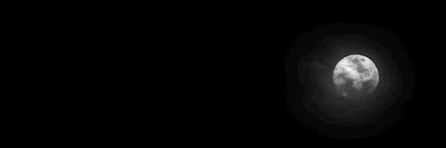 alkohlar7's profile banner image