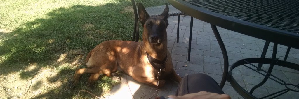 Timothy Raben banner