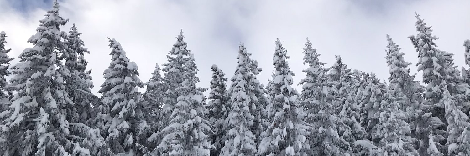 wittygabby's profile banner image