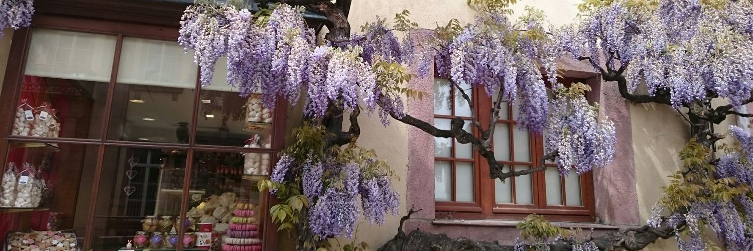 ringo45j's profile banner image