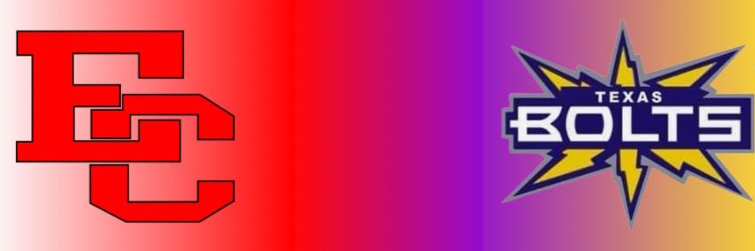 Anna Whiddon Burton banner