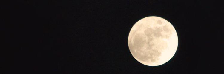 sei_akym's profile banner image