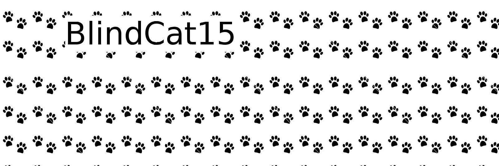 BlindCat2015's profile banner image