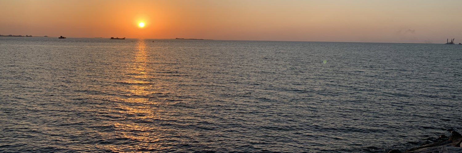UaeMahmoodAli's profile banner image