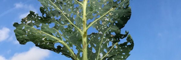 Tri_CountyAg Profile Banner