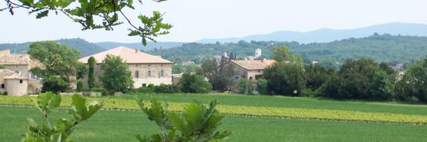 TheRomanticVine Profile Banner