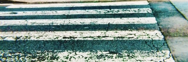 leonani1's profile banner image