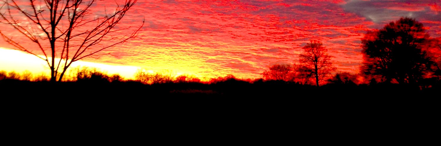 Adam Sternbach banner