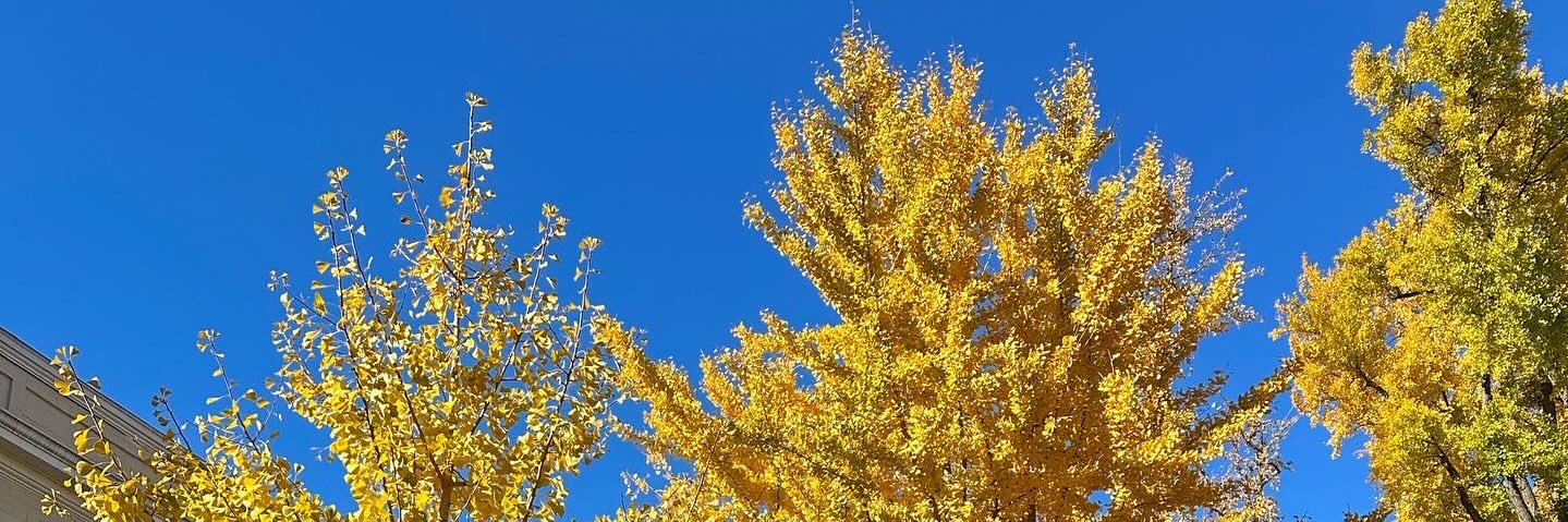 lanagotconed_'s profile banner image