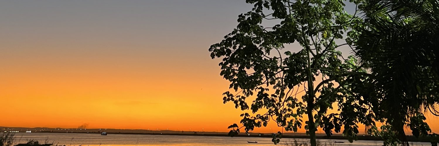 nabolentini's profile banner image