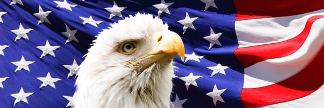 FreedomBrigade's profile banner image