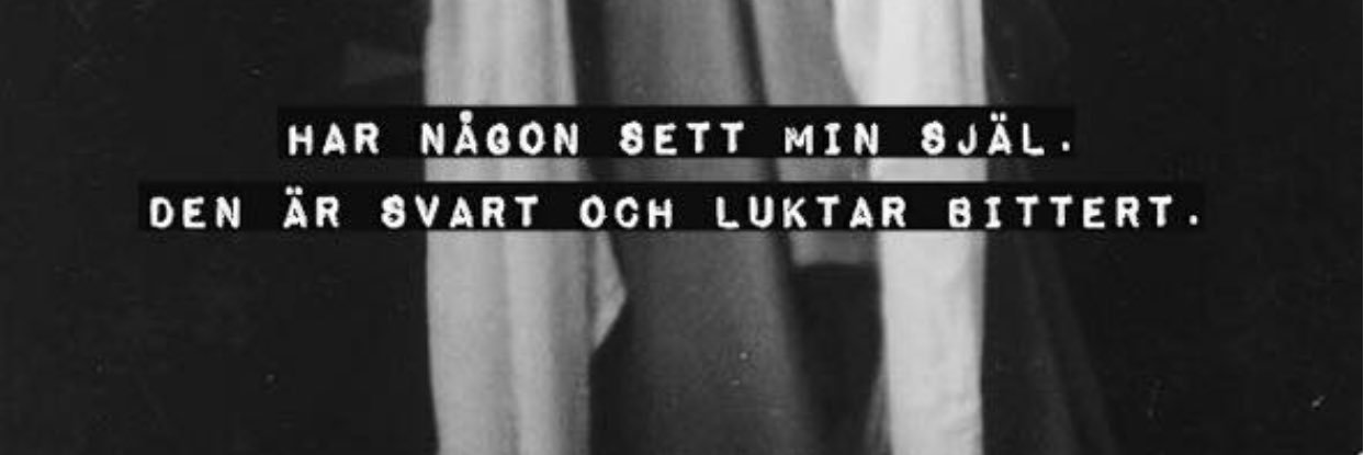 FlipLarsson's profile banner image