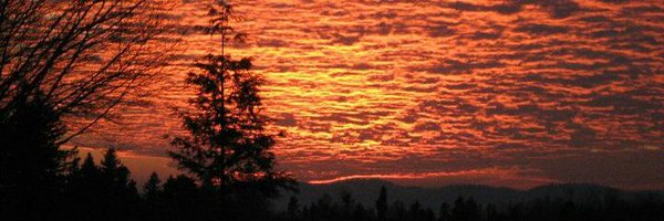 5150monkeylove Profile Banner