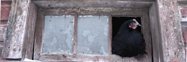 EarEigna Profile Banner