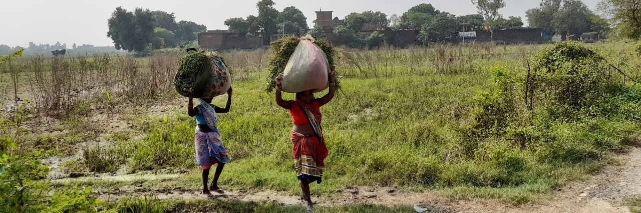 Sumit Yadav | सुमित यादव 🇮🇳 banner