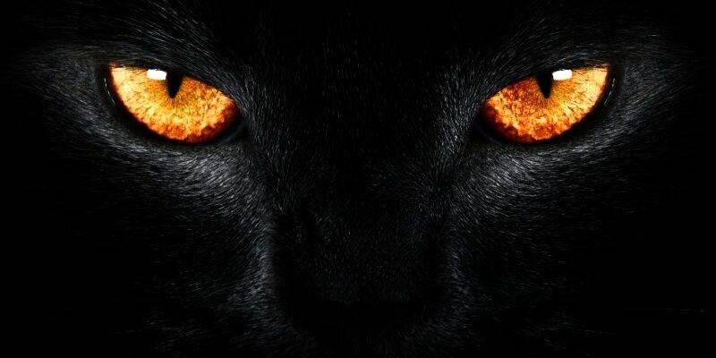 adheatuz's profile banner image
