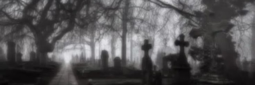 warmburial's profile banner image