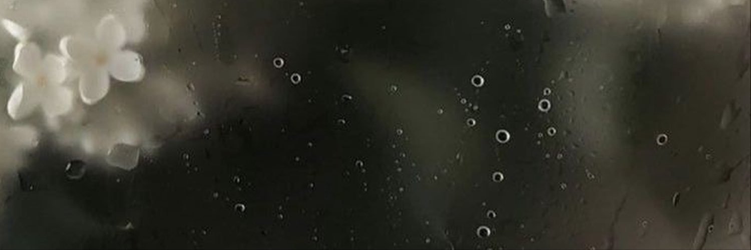 licht1214's profile banner image