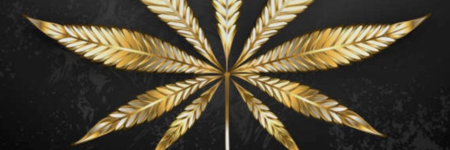 Vendetta6262's profile banner image