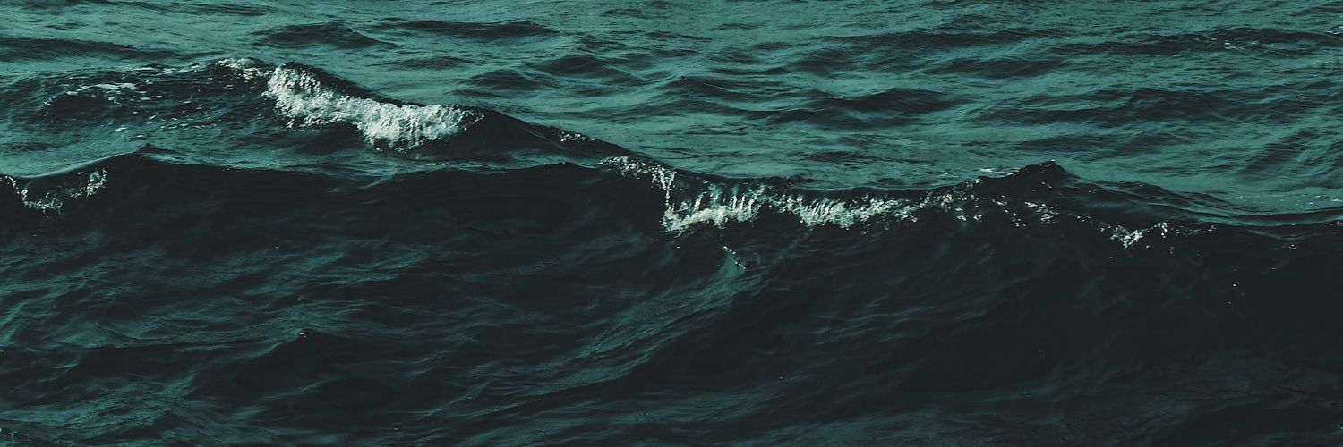 finnerus's profile banner image